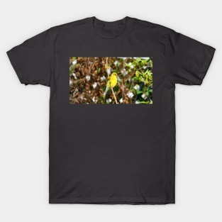 An American Goldfinch Perched on a Branch T-Shirt